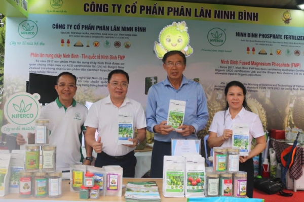 Phân lân Ninh Bình đồng hành cùng nhà vườn nâng chất lượng sầu riêng Đắk Lắk
